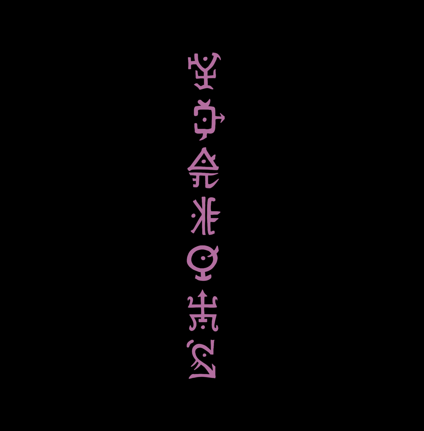 Pink Runes Back-piece Crop Top