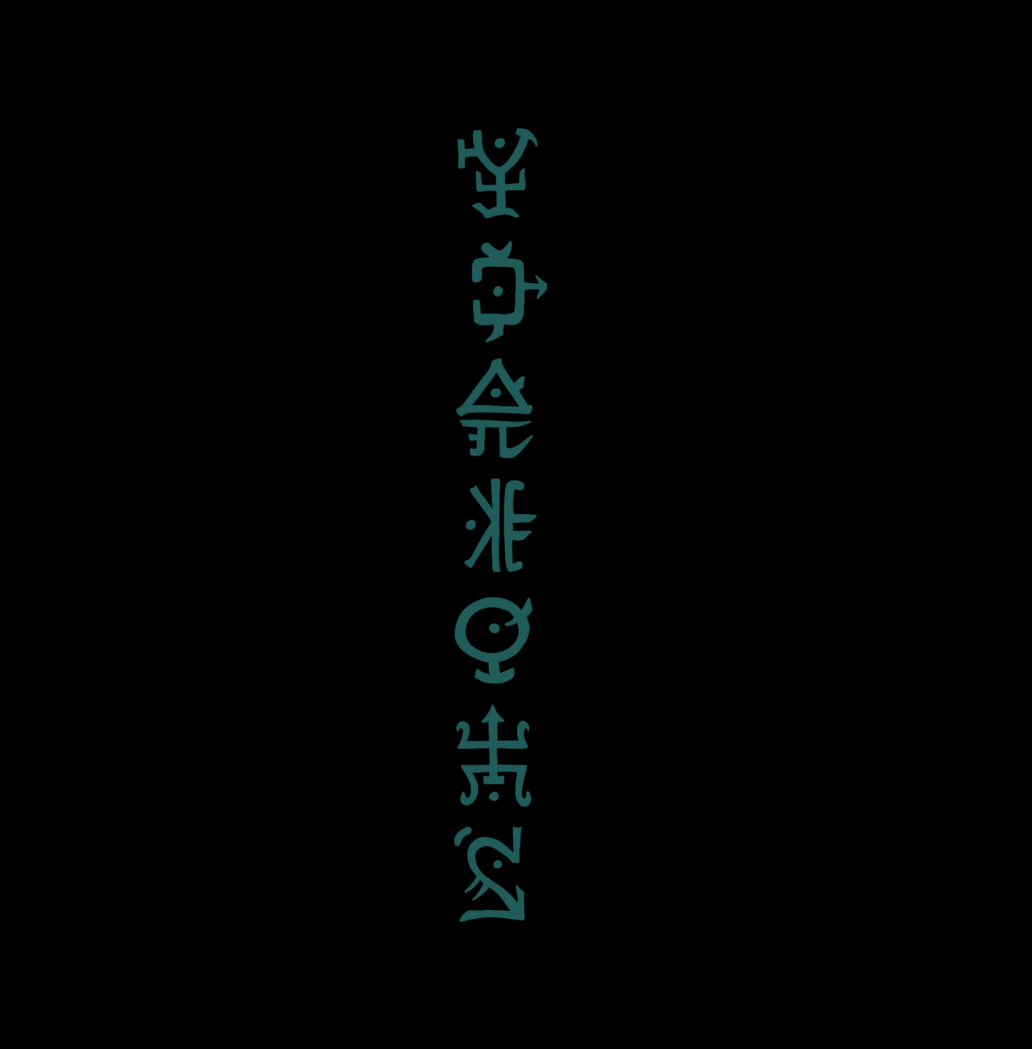 Turquoise runes Back-piece crop top