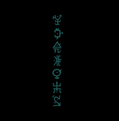 Turquoise runes Back-piece crop top